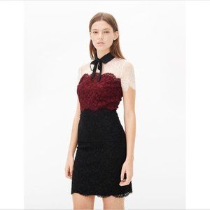 Sandro Tie neck two tone lace dress